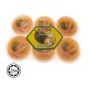 Yame Durian Pudding 6 x110g